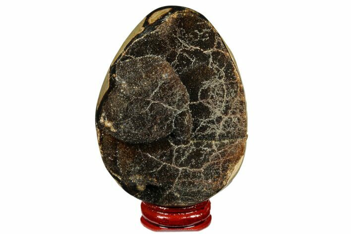 Septarian Dragon Egg Geode - Black Crystals #177389